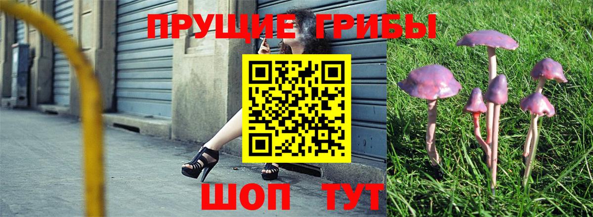Костомукша  Псилоцибиновые грибы ЛСД  Вход с VPN  Галлюциногенные грибы Psilocybe 